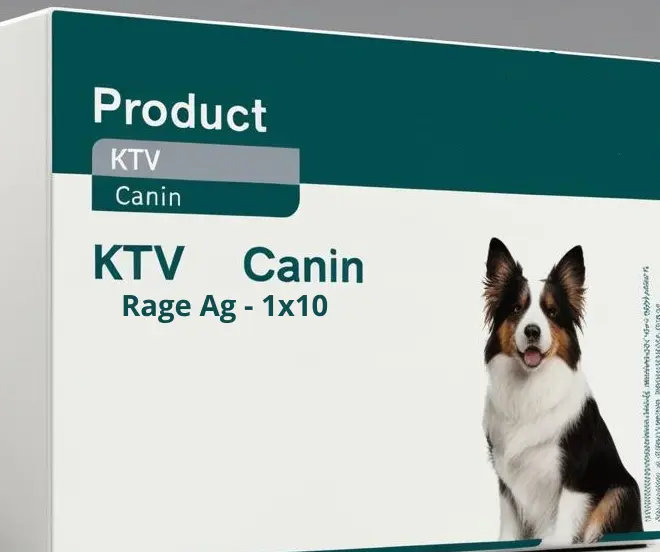Canine Matrix metalloproteinase 3 (MMP3) ELISA Kit