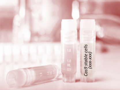 Cas9 Stable Cell Line (4T1)